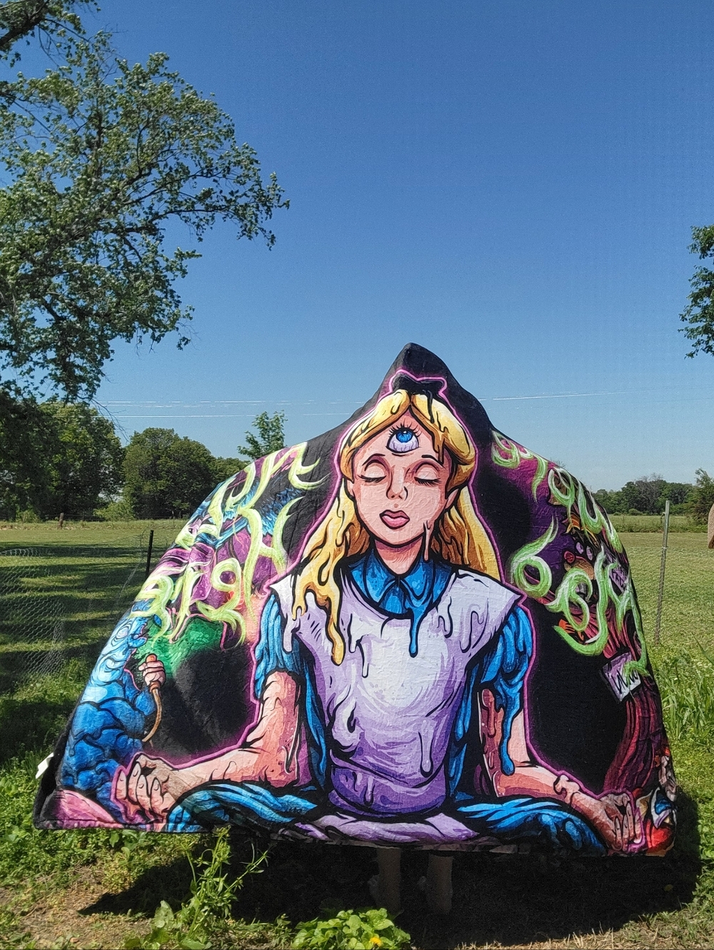 Trippy Alice In Wonderland Rave Bundle Blanket And Tapestry